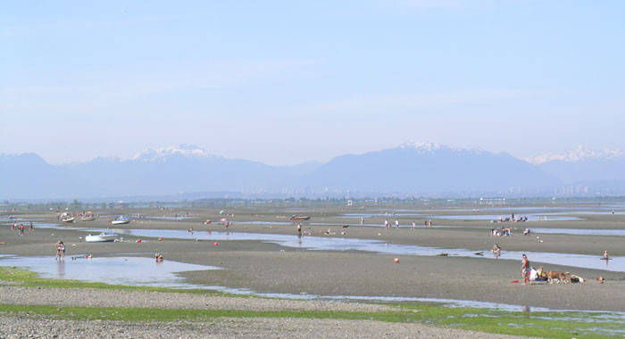 Image result for boundary bay low tide